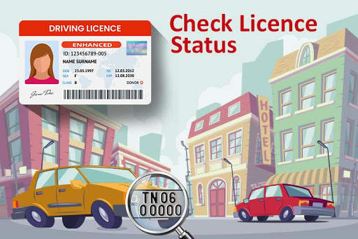 Check Driving Licence Detail Online screenshot 5