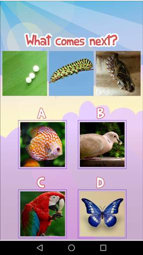 What Comes Next? (A logic quiz app) screenshot 1