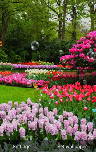 Spring Flower Live Wallpaper screenshot 3