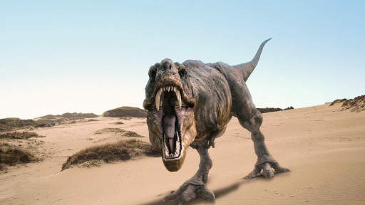 Dinosaur Live Wallpaper - backgrounds hd screenshot 9