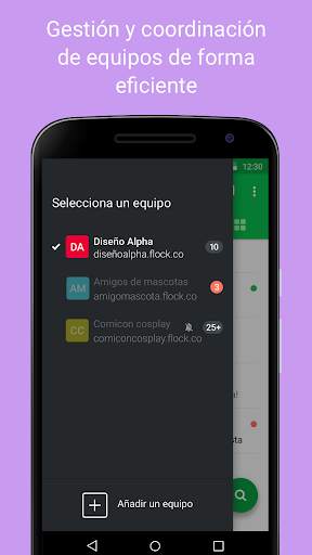 Flock screenshot 2