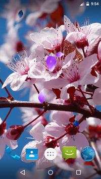 Magic Touch - Spring Flowers screenshot 2