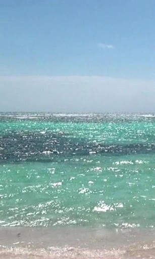 Hot summer and the sea screenshot 1