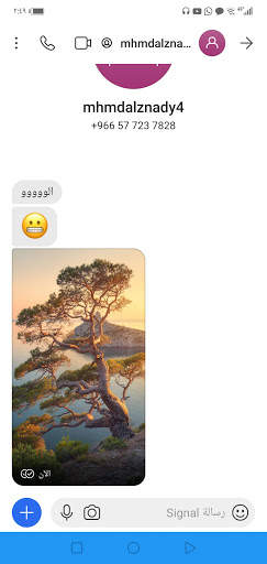 Messenger Blue screenshot 1
