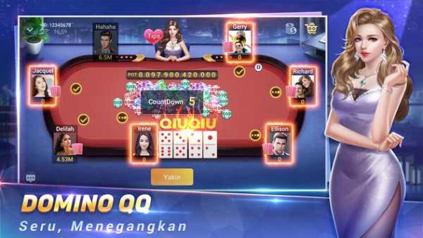 MVP Domino screenshot 2