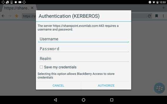 BlackBerry Access screenshot 20