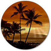 Palm Tree Wallpaper icon