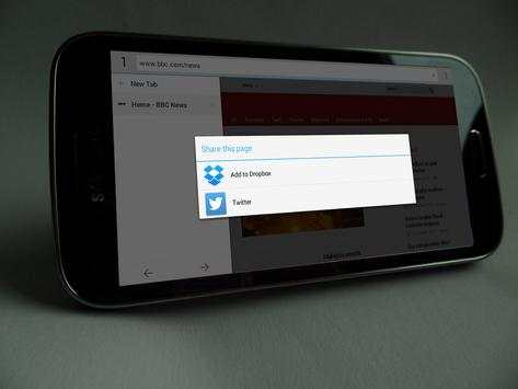 Internet Browser screenshot 6
