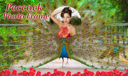 Peacock Photo Frames 3 تصوير الشاشة