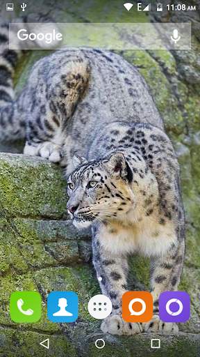 Snow Leopard Hd Wallpaper screenshot 3