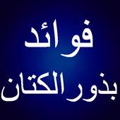 فوائد بذور الكتان 1.0