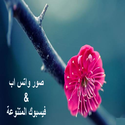 صور واتس اب (بدون نت) 1.16