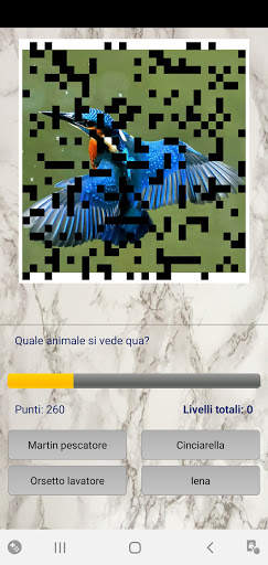Foto Quiz screenshot 3