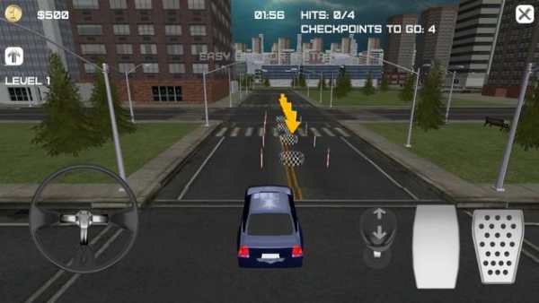 Precision Driving 3D 2 screenshot 7
