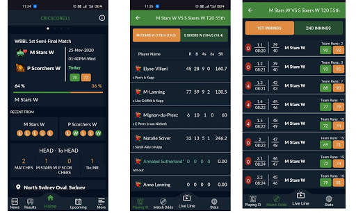 Cricscore 11 screenshot 8