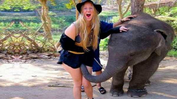 Free Funny Videos Top HD screenshot 6