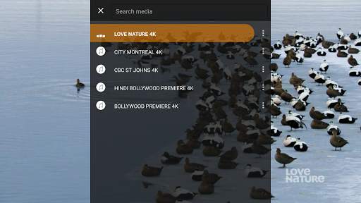 External Stalker Player screenshot 9