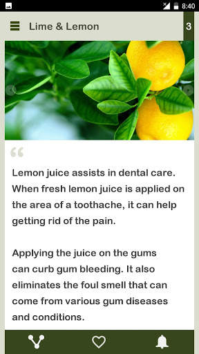 Lime & Lemon Daily screenshot 3