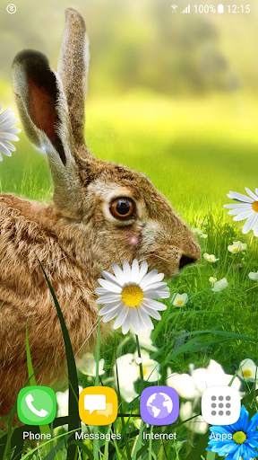 Easter Live Wallpaper screenshot 6