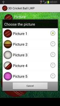 3D Cricket Ball screenshot 2