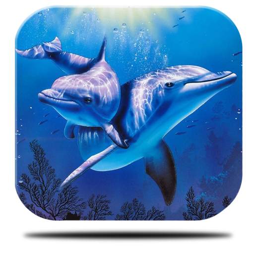 River Dolphin Live Wallpaper 3.0