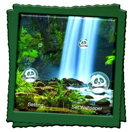 Rain Forest Live Wallpaper 4.2
