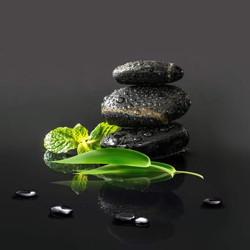Garden Zen Live Wallpaper 1.0.6