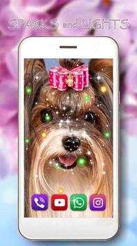 Cute Puppies live wallpaper screenshot 3