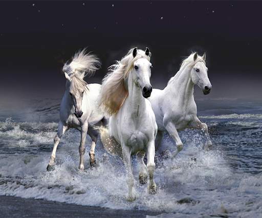 Horse Live Wallpaper screenshot 4