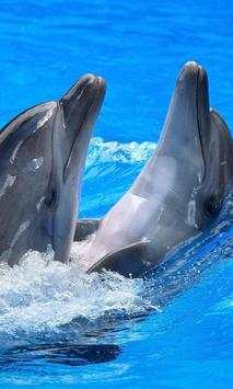 Dolphin Jigsaw Puzzles Game screenshot 3