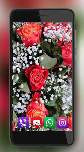 Red Roses Dew Live Wallpaper screenshot 1