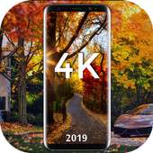 Autumn 4K Wallpapers & Backgrounds on 9Apps