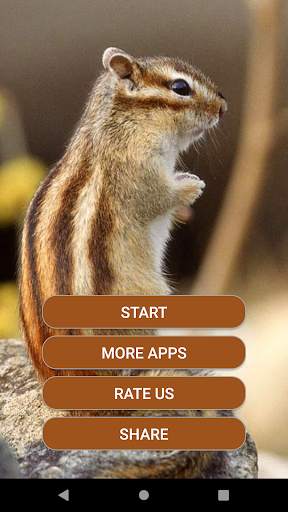 Animal Sounds 3D screenshot 2