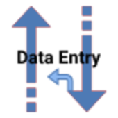 Data Entry icon