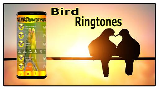 Bird Sounds Ringtones Free screenshot 4