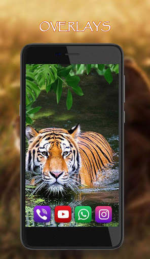 Tigers Live Wallpaper screenshot 2