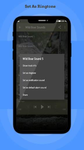Wild Boar Sounds 1 تصوير الشاشة