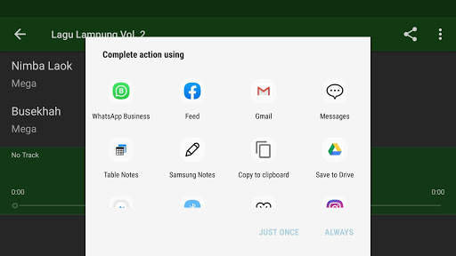 Lagu Lampung MP3 Terbaru (2020) screenshot 10