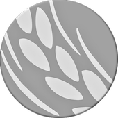The Message icon