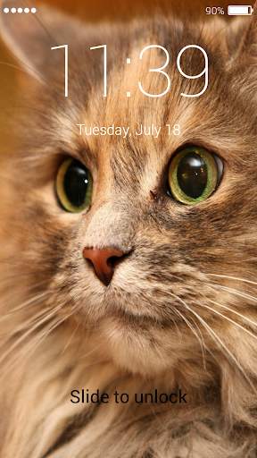 Cat Password Lock Screen screenshot 6