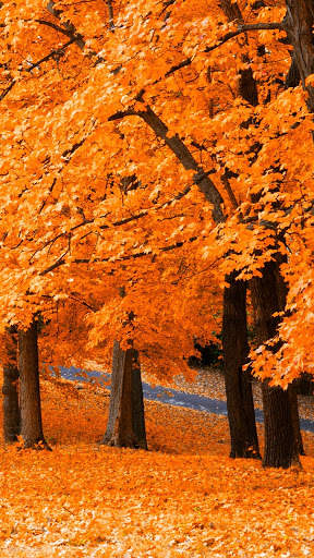 Four Season APUS Live Wallpaper screenshot 4