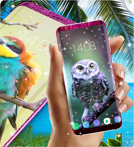 Live wallpapers birds screenshot 3