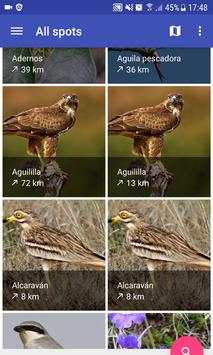 Canary Flora and Fauna screenshot 1