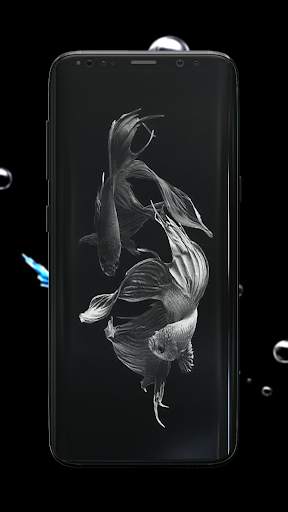 Betta Fish Wallpaper screenshot 7