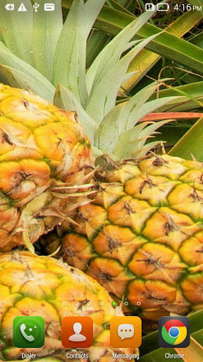 Pineapple Live Wallpaper screenshot 3