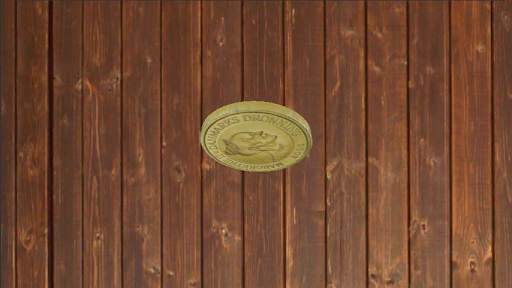 heads or tails 3D screenshot 2
