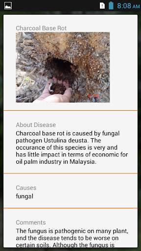Oil Palm Diagnosis скриншот 4