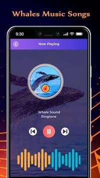 Whales Music Songs screenshot 6