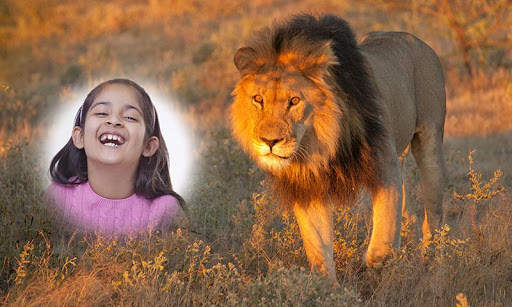 Wild Animal Photo Frames HD screenshot 1