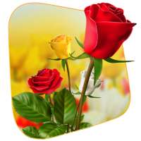 360 Flower live wallpaper 3D on 9Apps